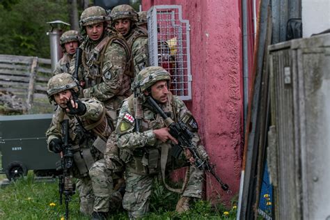 DVIDS - Images - Georgian, 2nd ABCT Soldiers Work Side-By-Side at ...