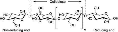 Cellulose polymer chain structure. | Download Scientific Diagram