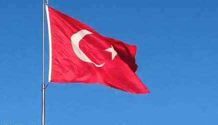 Türk Bayrağı'nı Yırtan Yunan Vekile Tepkiler Büyüyor #Greece - Tamindir