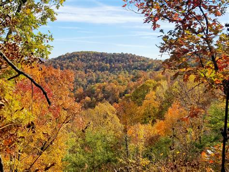 [OC][4032x3024] The Ozark Mountains this fall are more colorful than ...