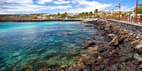 Puerto Baquerizo Moreno, Galápagos, Ecuador. Things to do. Animals ...