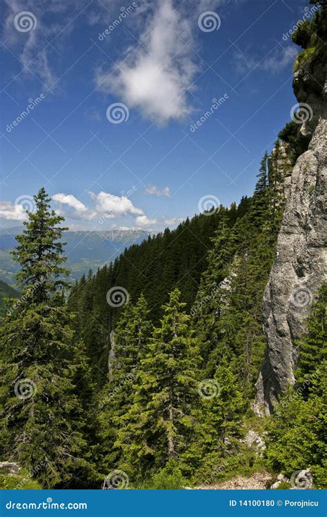 Mountain slope stock photo. Image of pine, woods, outdoor - 14100180