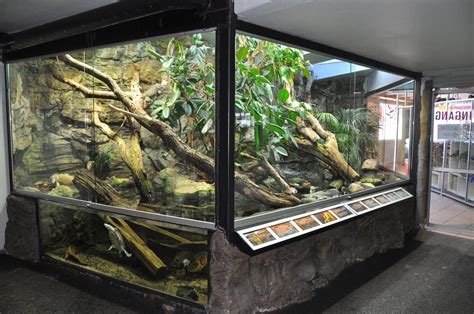 reptile tanks | Terrarium For Iguana | Reptile Tanks For Sale - reptile ...