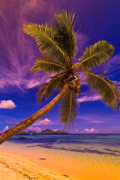 Tokoriki Island, Fiji Islands, South Pacific | Surf & Sand | Best tropical vacations, Island ...