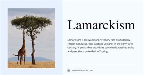 Theory of Lamarckism in Anthropology | Anthroholic