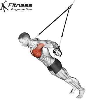 How To Do Trx Chest Fly | Muscles Worked And Benefits