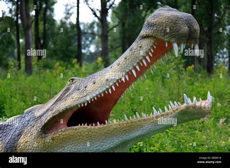 Supercroc (Sarcosuchus imperator), largest crocodile like reptile Stock ...