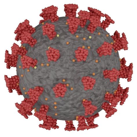 Coronavirus 3d model free 3D model | CGTrader