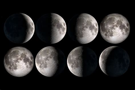 Moon Phases and Effects Diagram | Quizlet