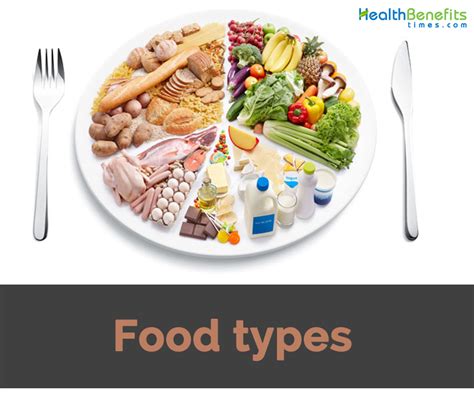 What are the different types of foods?