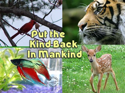 Save Wildlife Slogans