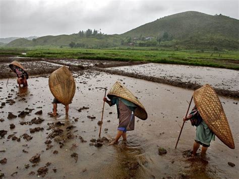 Mesmerising Mawsynram | Mawsynram tourism - Media India Group