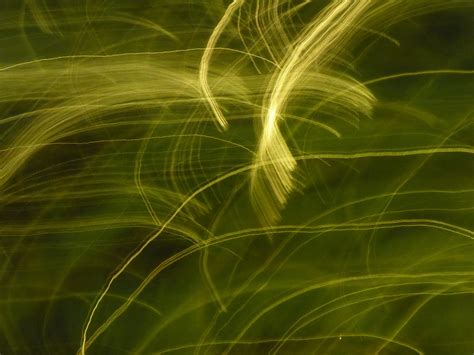 Abstract Moving Lights Background Free Stock Photo - Public Domain Pictures