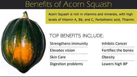 Health Benefits of Acorn Squash - Nutrition, Precautions, How to Buy