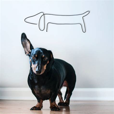 Sausage Dog Minimalist Wire Wall Art By Briar Rose Wire