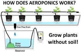 high pressure aeroponics kit - Google Search | Aquaponics, Aquaponics system, Aeroponics