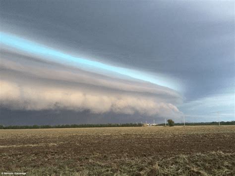 The Formation of Thunderstorms within Different Wind Shear Environments