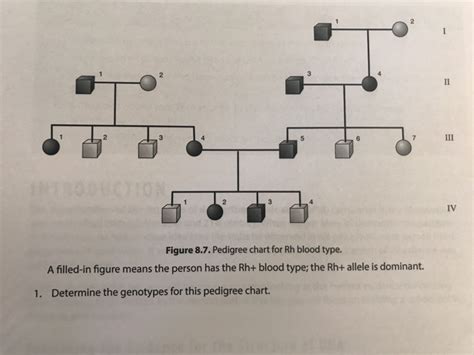 How To Make A Pedigree Chart For Blood Type - Best Picture Of Chart ...