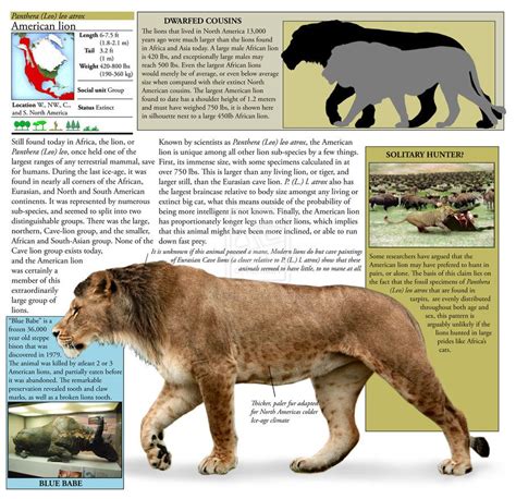 Smilodon Vs American Lion