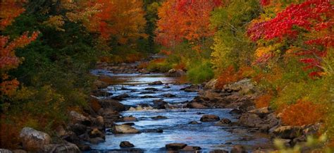 Here are a few spots in Michigan where you can view scenic fall foliage ...