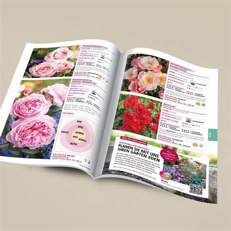 Kordes garden rose catalogue | Kordes Rosen