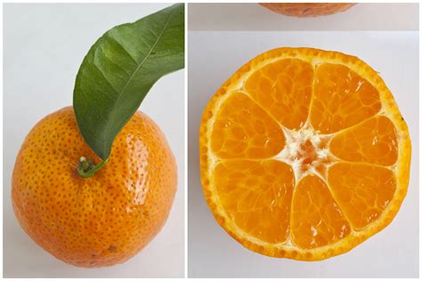 CNY hacks: Different types of mandarin oranges, Lifestyle News - AsiaOne