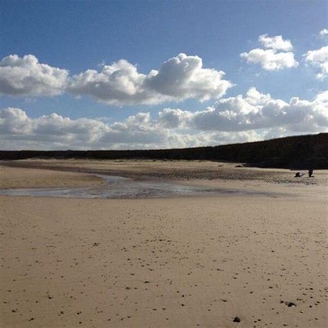 Dog walk at Happisburgh Beach · Norfolk · Walkiees