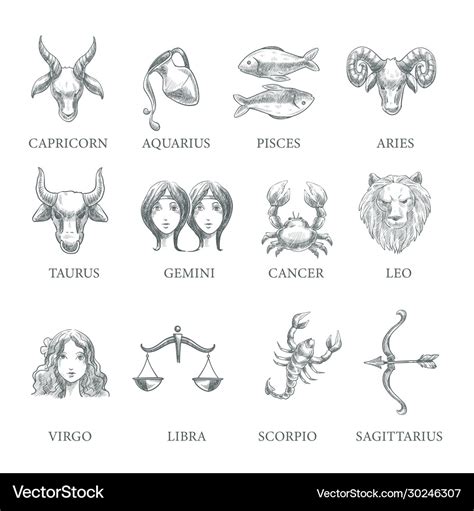 Astrology and zodiac signs horoscope symbols Vector Image