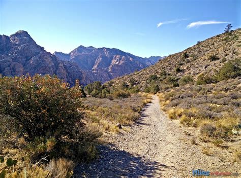 Red Rock Canyon Hiking Trails - La Madre Springs - A Gem