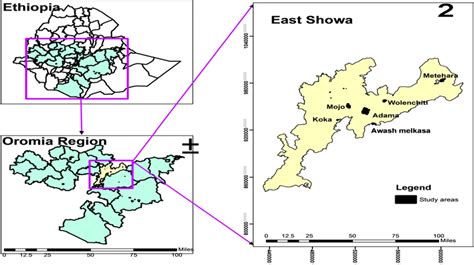 Map showing the geographical distribution of study sites in East Shewa ...