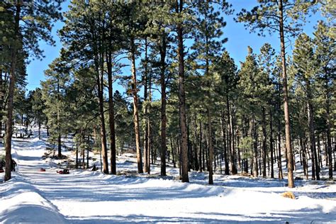 Flagstaff Snow Park Visit Tips - Brie Brie Blooms