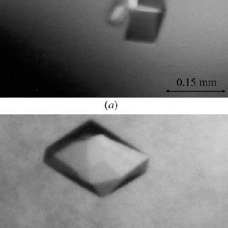 Crystals of formyl-CoA transferase crystallized (a) as the apoenzyme ...