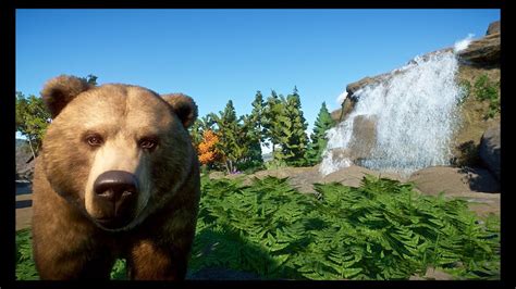 Grizzly Bear Habitat with Underground Viewing | Thorton Hills Zoo | Planet Zoo - YouTube