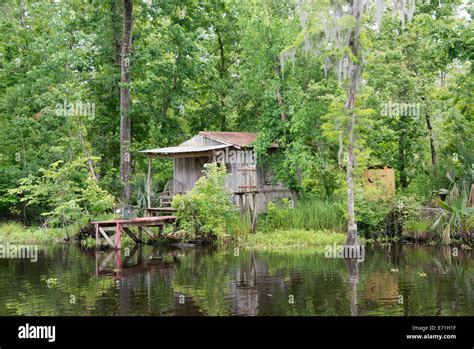 USA, Louisiana, New Orleans, Lafitte, Jean Lafitte National Historical Park, Barataria Preserve ...