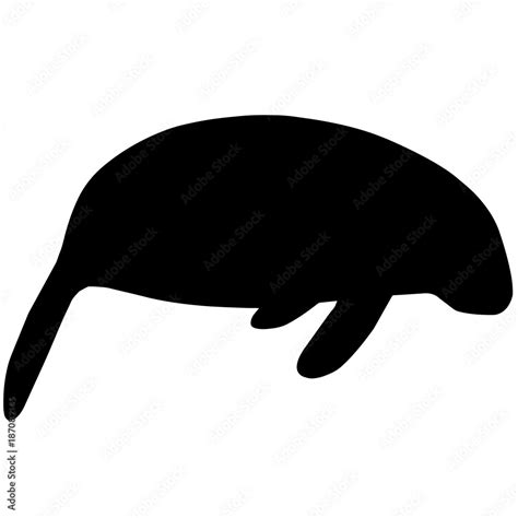 Manatee Silhouette Vector Graphics Stock Vector | Adobe Stock