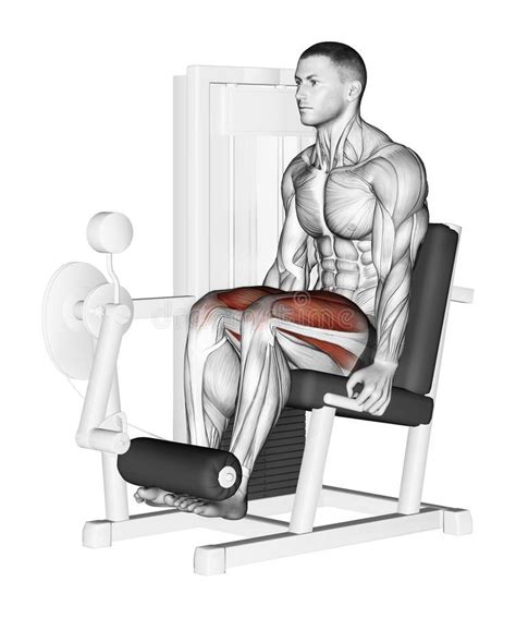 a man sitting in a chair with the leg extension highlighted