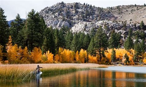 Mammoth Lakes California Fishing Guides & Fly Shops - AllTrips