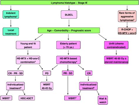 Lymphoma Flow Chart