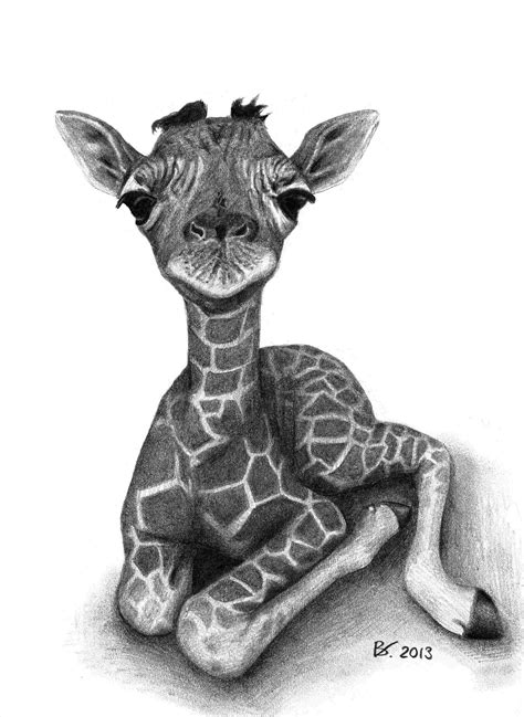 Cute Baby Giraffe Drawing at PaintingValley.com | Explore collection of Cute Baby Giraffe Drawing