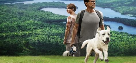 Dog Gone - movie: where to watch streaming online