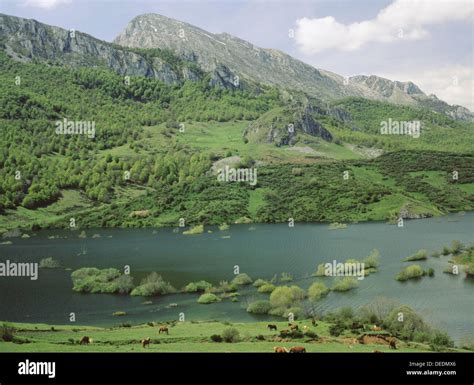 Riaño reservoir. Lario. Leon province. Castilla-Leon. Spain Stock Photo ...