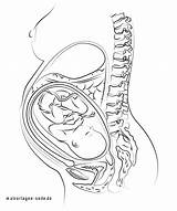 25  pregnancy coloring pages ArroeArieann sketch template