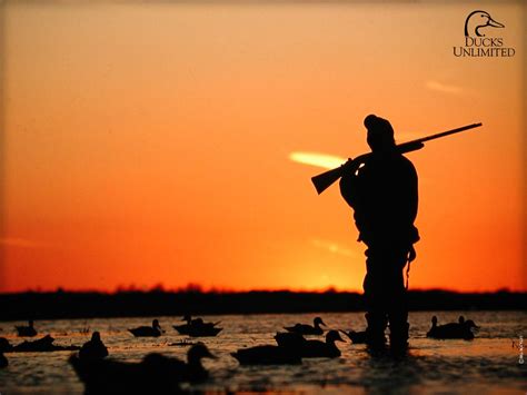 Duck Hunting Wallpaper