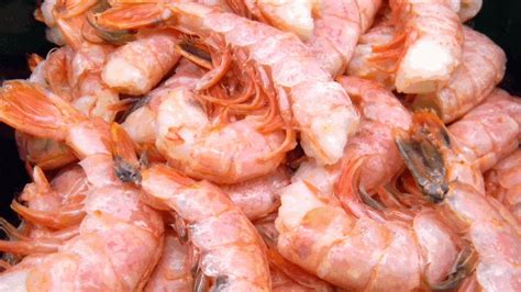 ARGENTINE RED SHRIMP – Hull’s Seafood Market & Restaurant