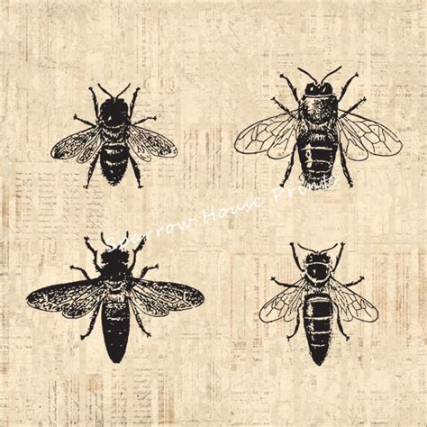 Bees Print Antique Wall Art Bee Home Decor by SparrowHousePrints