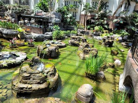 Best 5 things in Garden Conservatory at the Gaylord Opryland Nashville