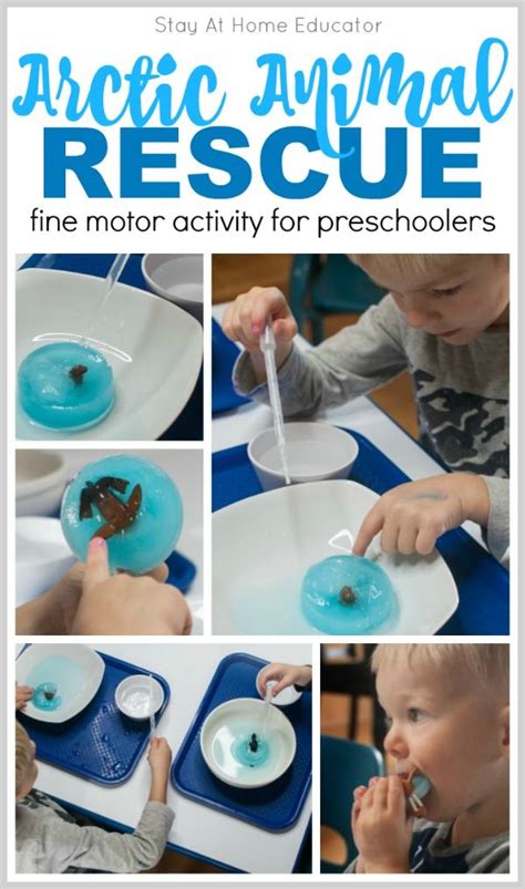 Arctic Animal Fine Motor Activities for Preschoolers | Preschool science activities, Arctic ...