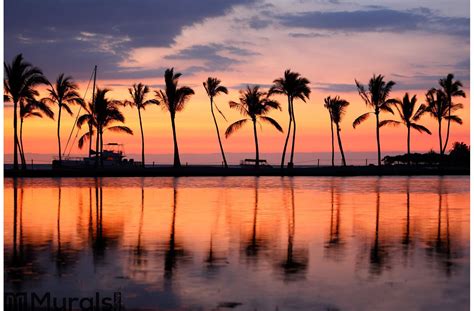 Paradise beach sunset tropical palm trees Wall Mural