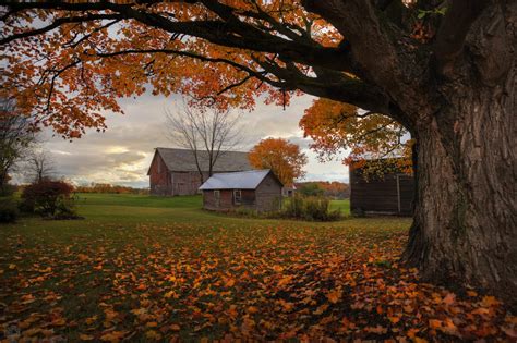 Classic Vermont Fall Foliage Tour (All DAY) - Local Captures