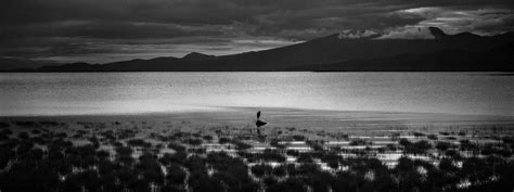 Loner by IvanAndreevich on DeviantArt